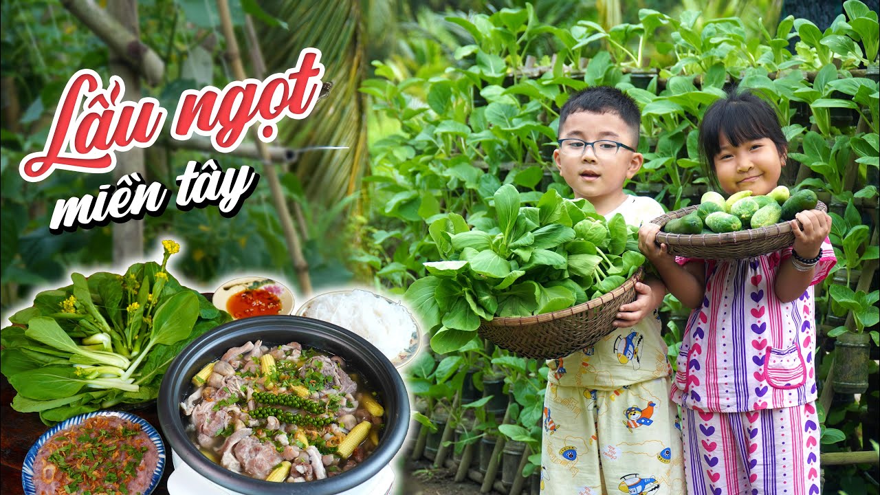 Lẩu cá thác lác, bao tử hầm tiêu xanh + rau vườn